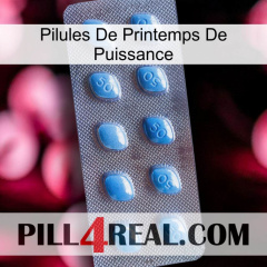 Power Spring Pills viagra3